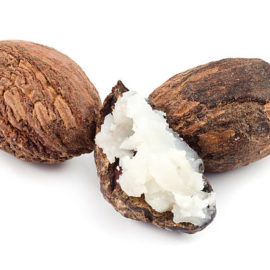 What Is Shea Butter?