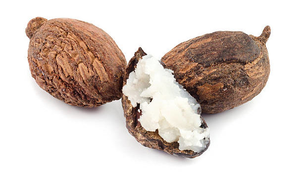 What Is Shea Butter?