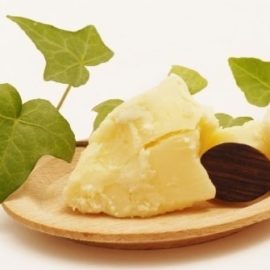 What Sets Shea Butter Apart From Other Oils & Emollients.